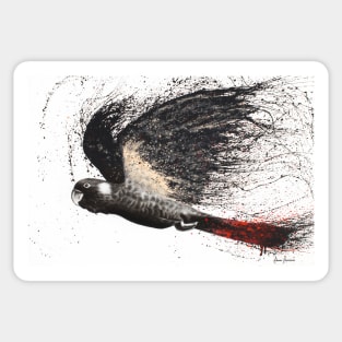 Fearless Black Cockatoo Sticker